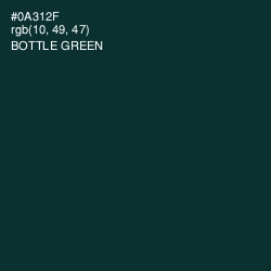 #0A312F - Bottle Green Color Image